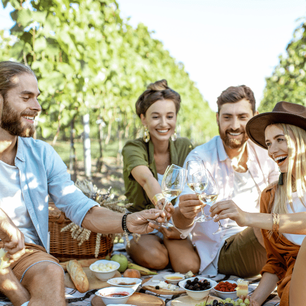 Four people having a picnic in a vineyard
