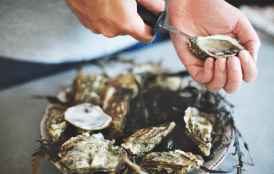 Oysters paired with Classic Sauvignon Blanc Dry White Wine