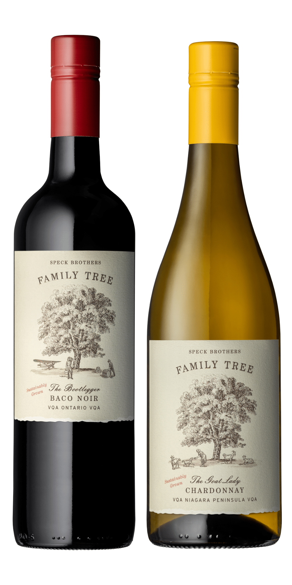 Family Tree Wine Full Bodied Red Wine Rich White Wine
