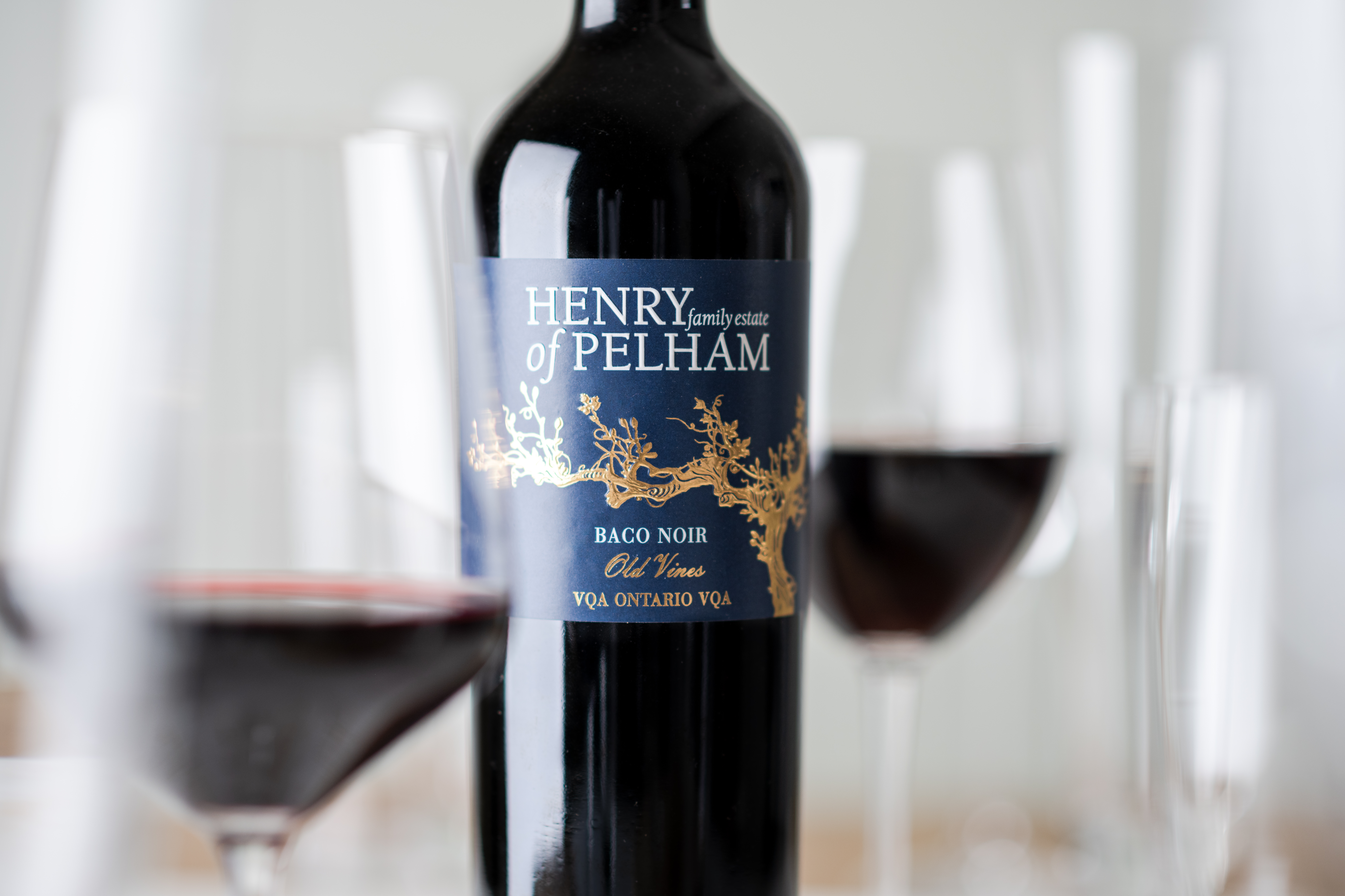 High-Res-Old-Vines-Baco-Noir-2