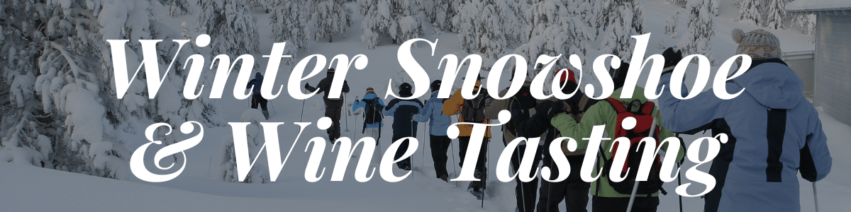 winter snowshoe