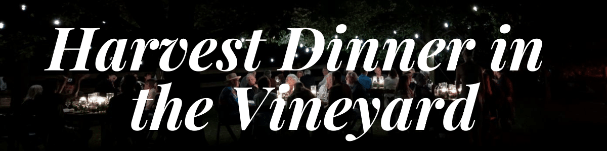 Harvest Dinner in the Vineyard Harvest Dinner in the Vineyard