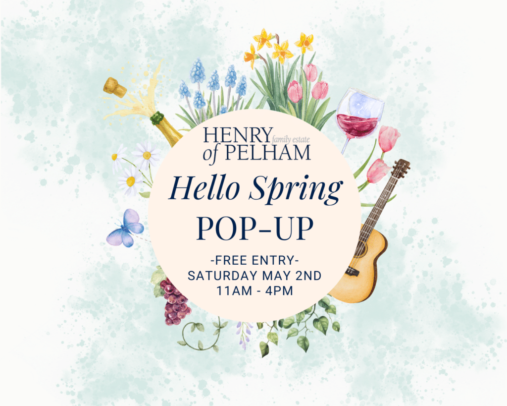 Hello Spring Pop-Up (1350 x 1080 px)