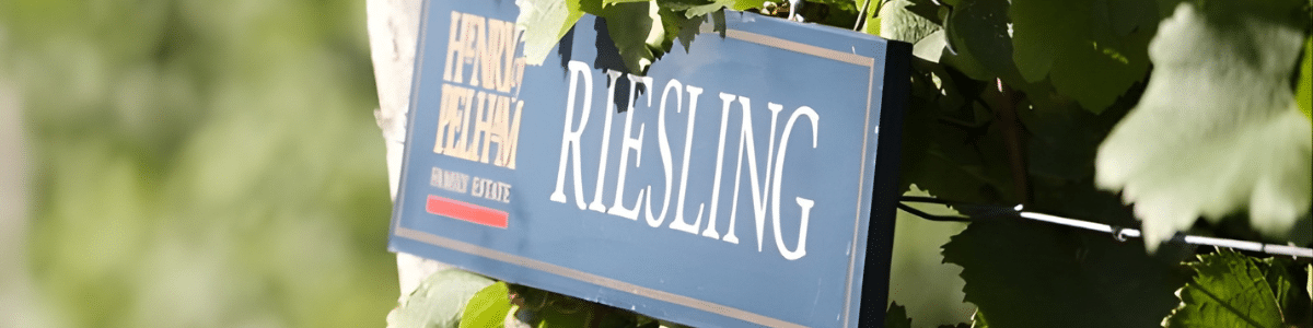 Website Banner (1200 × 300 px)