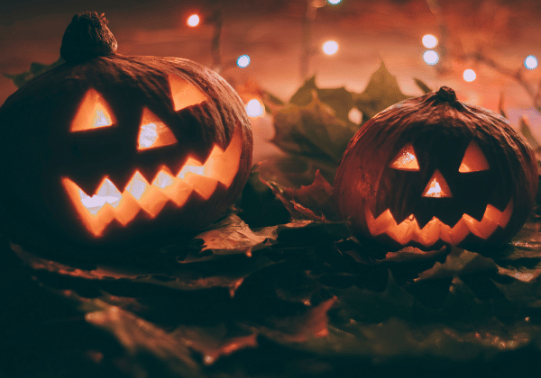 Halloween Harvest Tour