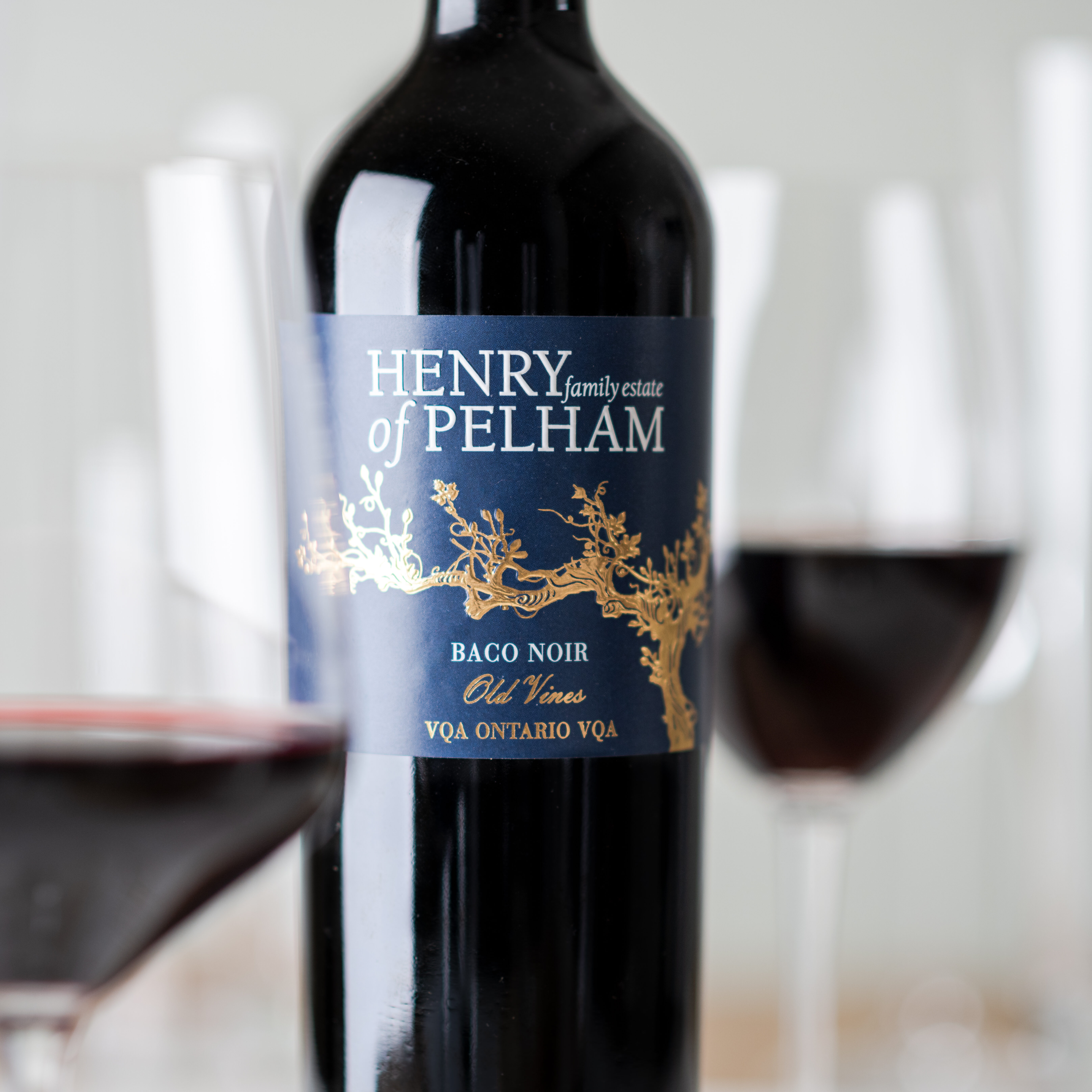 Full Bodied Baco Noir Red Wine