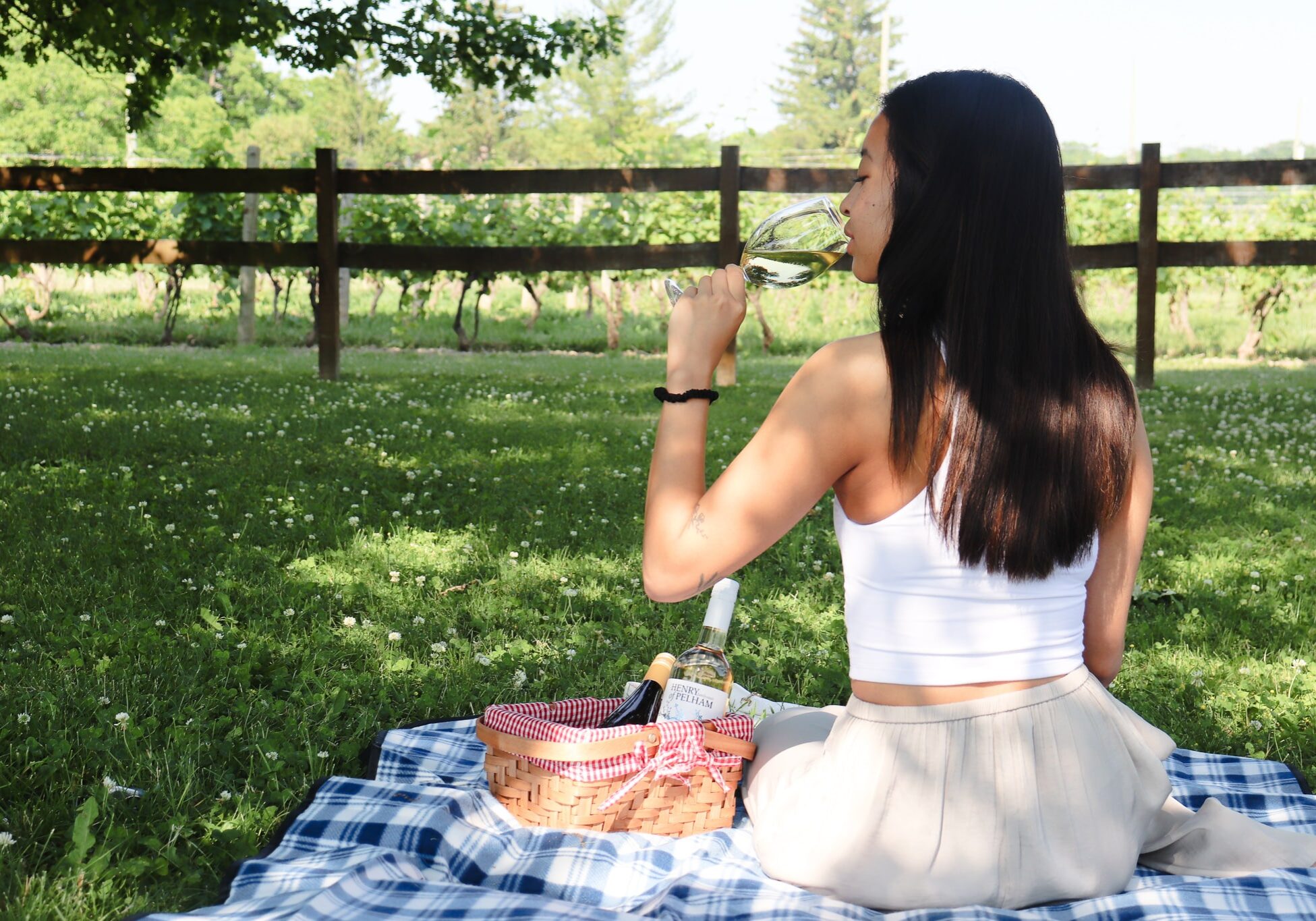 Picnic in the Vineyard Picnic in the Vineyard