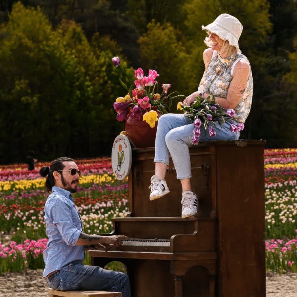 JP Tulip JP Niagara Tulip Experience