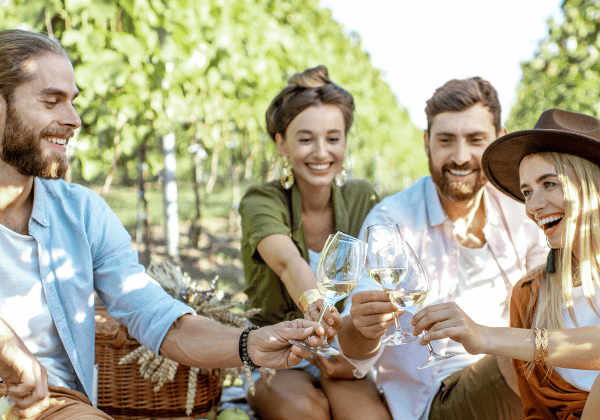 Four people having a picnic in a vineyard