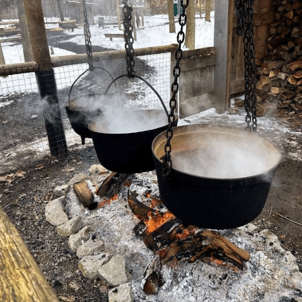 White Meadows White Meadows Maple Syrup Farm