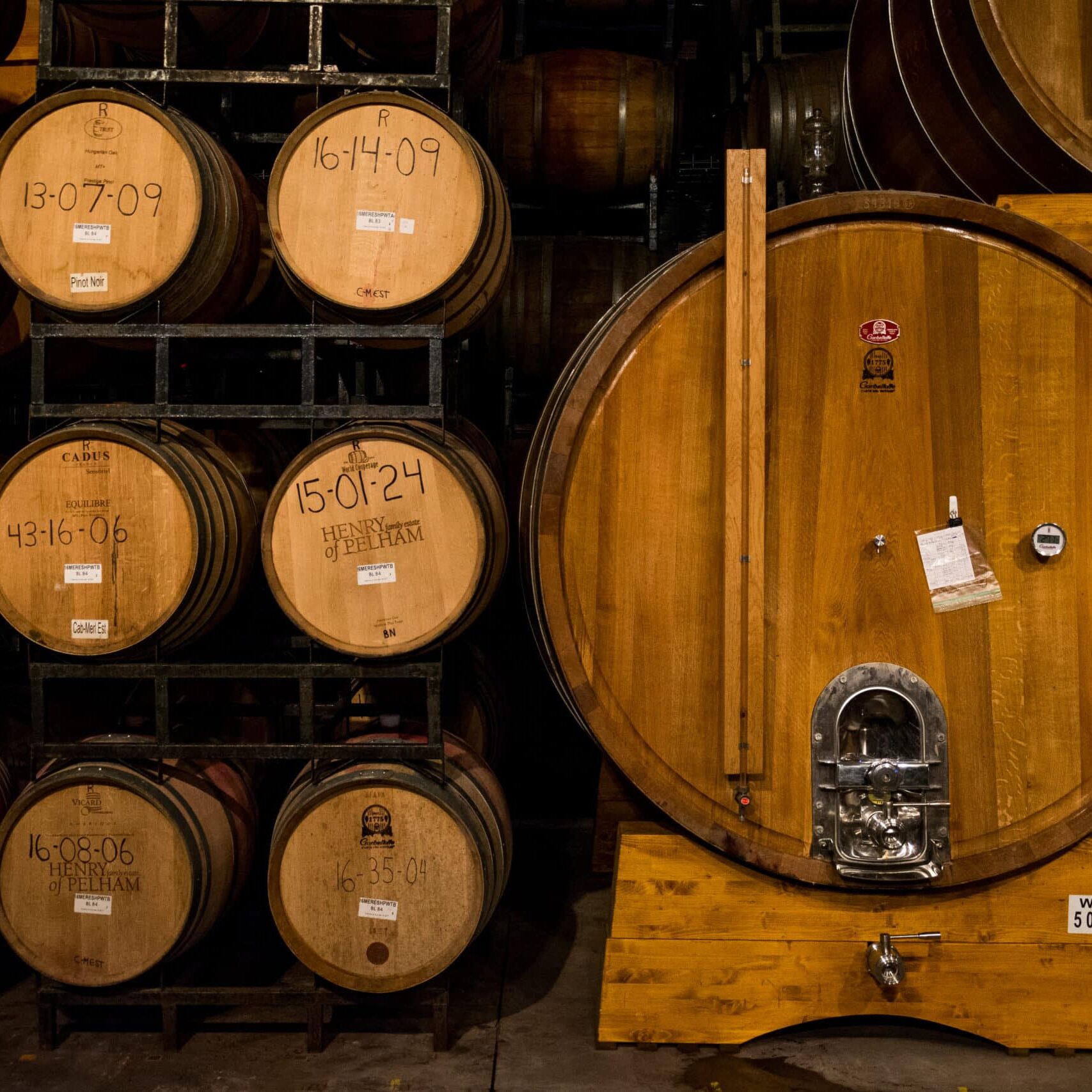 cellar barrels + foudre cellar barrels + foudre