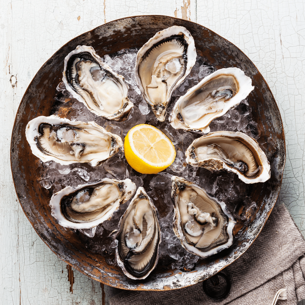 oysters